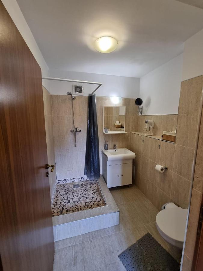 Casa Romana Apartment Ploiesti Ngoại thất bức ảnh
